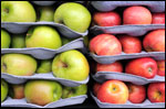 Washington Fruit