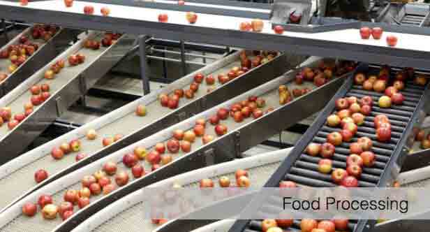 conveyor systems for fragile fruit